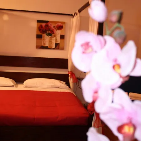 Bed & Breakfast City's House Bergamo